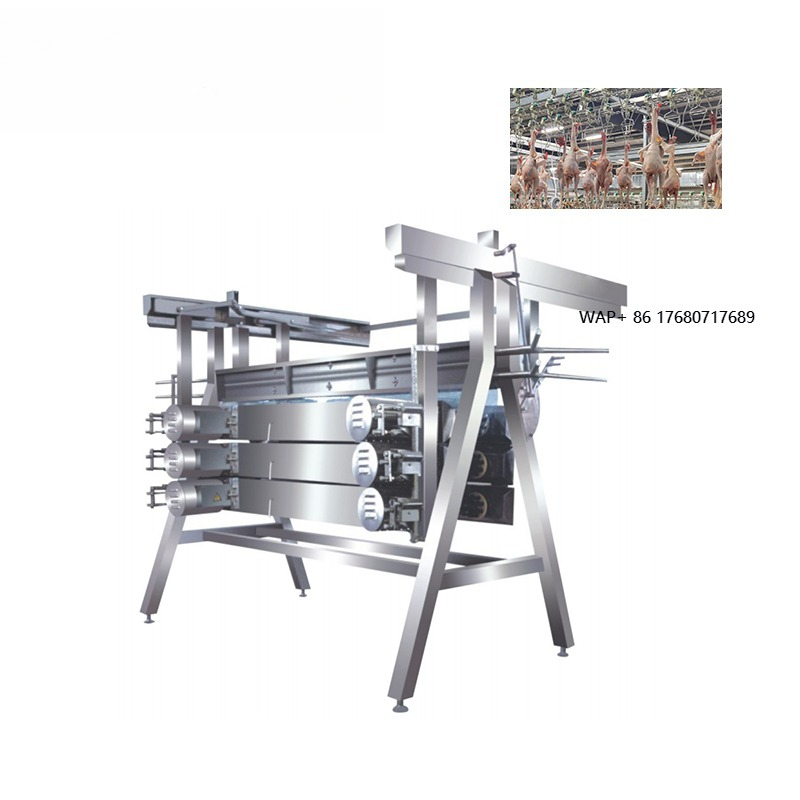 Chicken Plucker Machine - เครื่องถอนขนไก่ อุปกรณ์ฆ่าสัตว์ เครื่องถอนขนไก่เชิงพาณิชย์