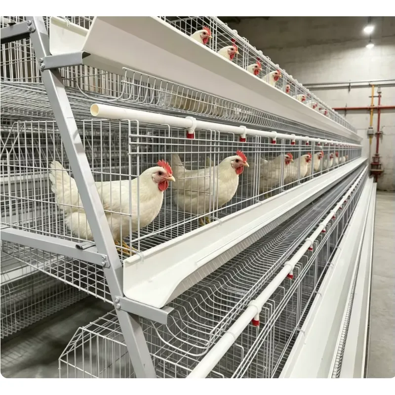 Farming Africa - กรงเลี้ยงไก่แบบแบตเตอรี่ชนิด A พร้อมชุดรางอาหารครบชุด ถังน้ำพลาสติก ความจุ 96