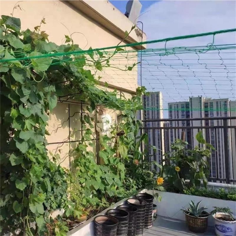 Garden Trellis Net Plant Suppo - Agriculture Farming Net บทวิจารณ์และราคา