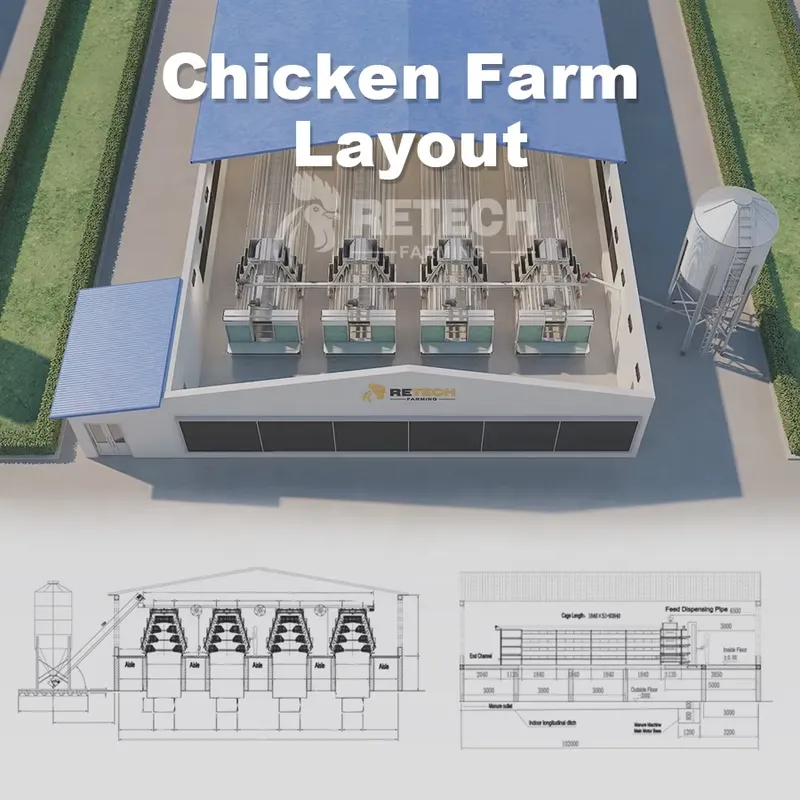 กรงเลี้ยงไก่แบบอัตโนมัติชนิด A - Farming Africa บทวิจารณ์และราคา