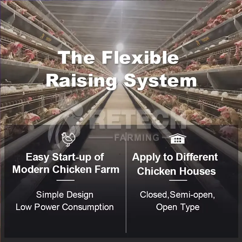 กรงเลี้ยงไก่แบบอัตโนมัติชนิด A - Farming Africa บทวิจารณ์และราคา