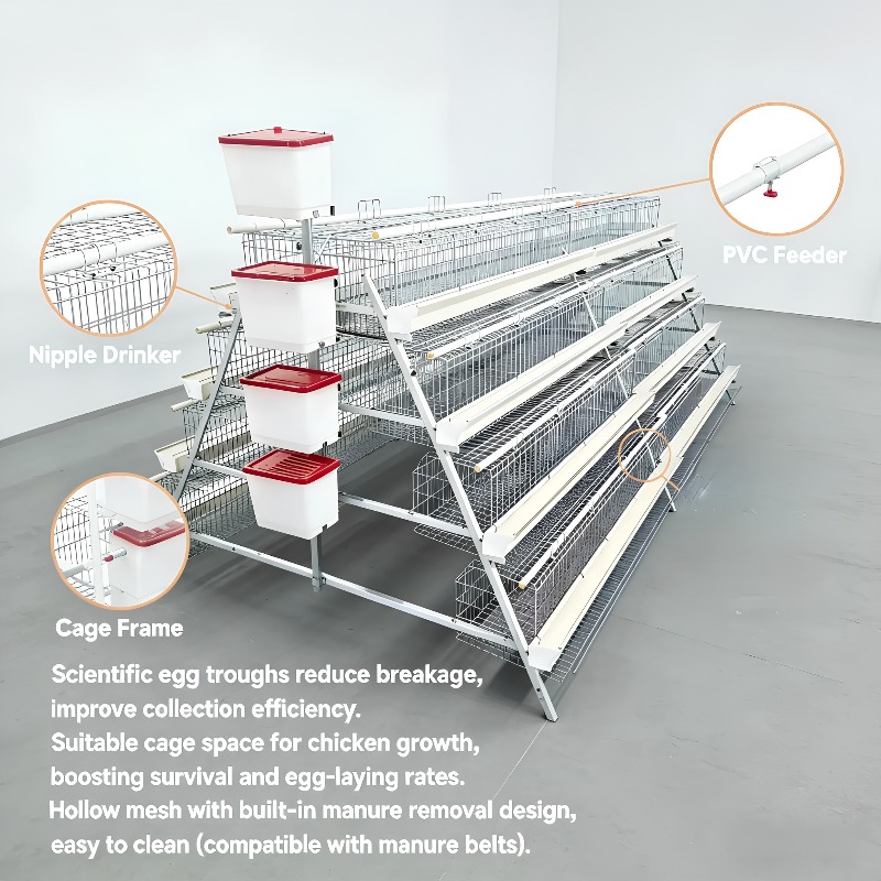   โรงเลี้ยงไก่แบบกรงแบตเตอรี่  - Farming Africa บทวิจารณ์และราคา