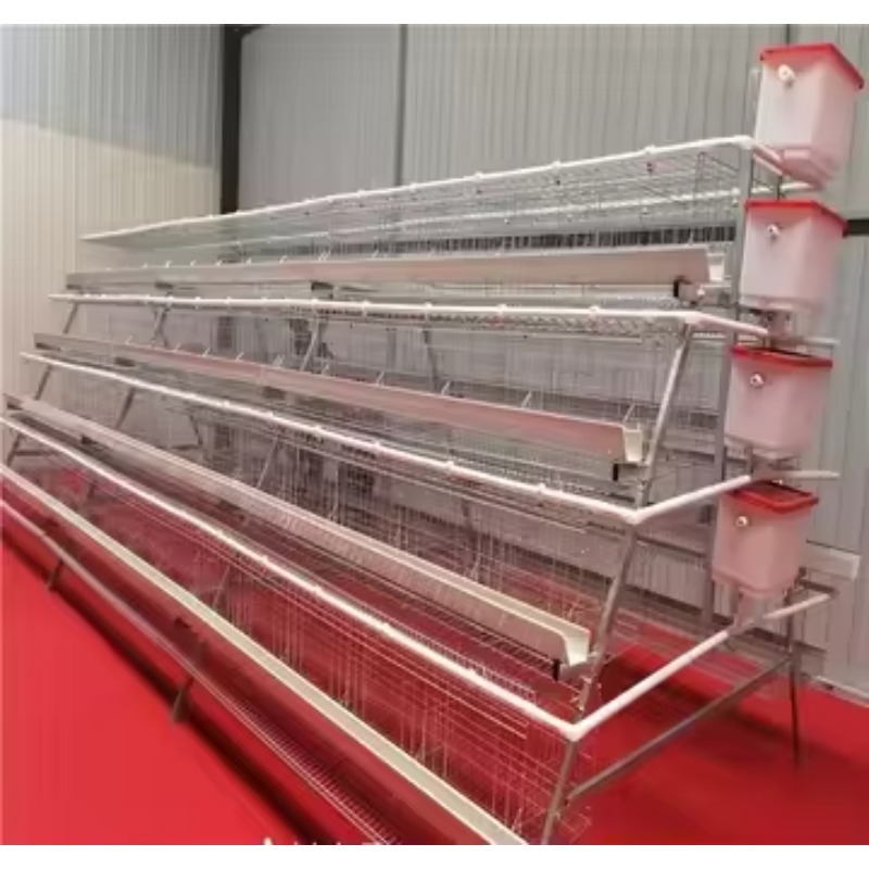   โรงเลี้ยงไก่แบบกรงแบตเตอรี่  - Farming Africa บทวิจารณ์และราคา
