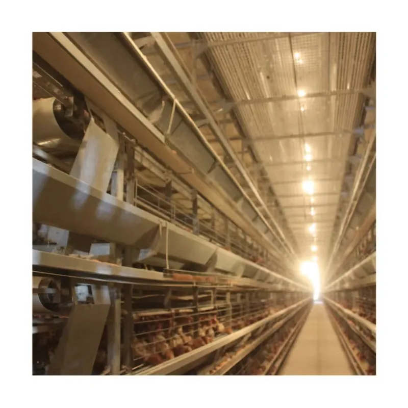 กรงไก่ไข่อัตโนมัติ TIANRUI รุ่ - Farming Africa บทวิจารณ์และราคา