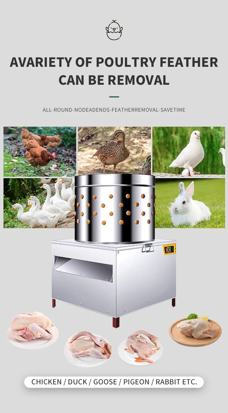 เครื่องถอนขนไก่แบบนิ้วมือ รุ่น - Chicken Plucker Machine บทวิจารณ์และราคา