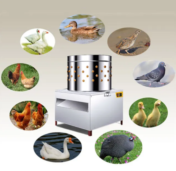 เครื่องถอนขนไก่แบบอัตโนมัติสำห - Chicken Plucker Machine บทวิจารณ์และราคา