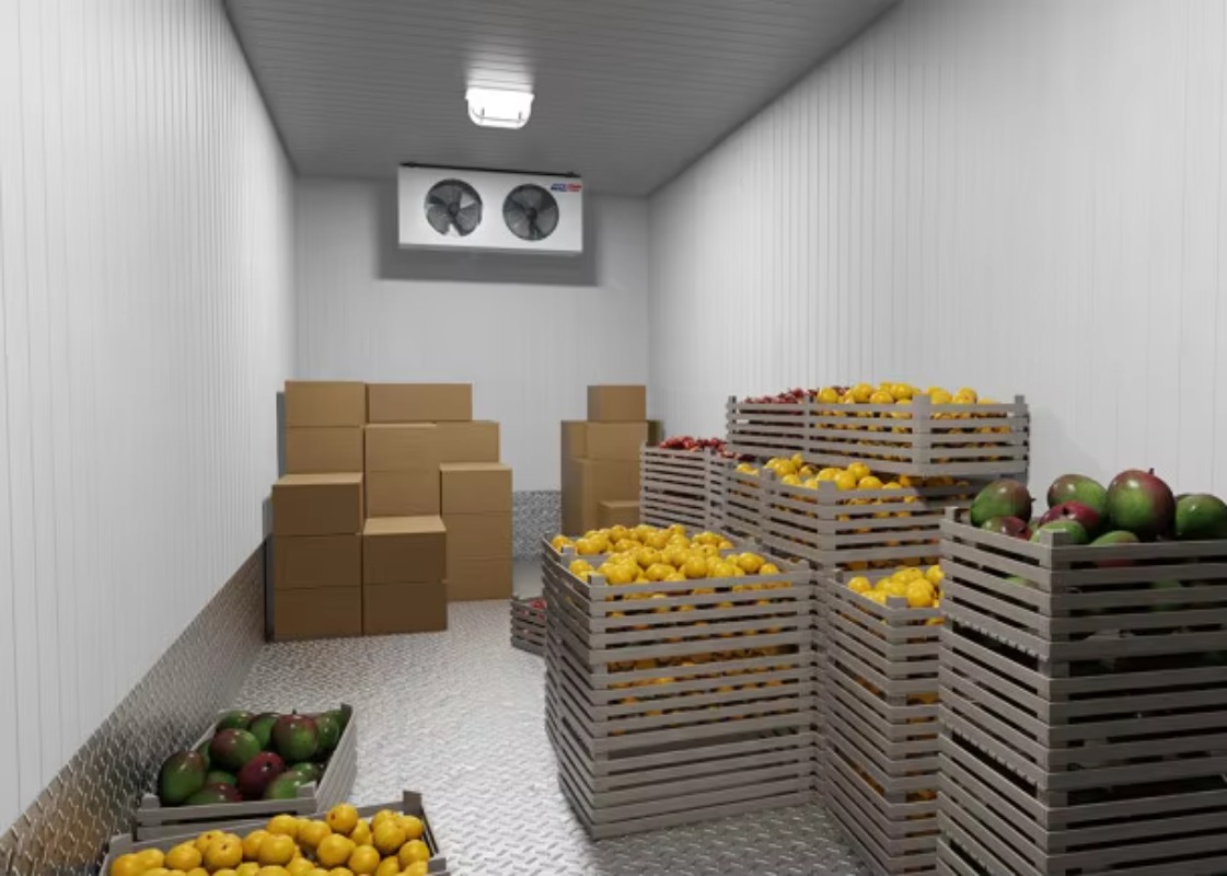 ห้องเย็นพลังงานแสงอาทิตย์สำหรั - Farming Africa บทวิจารณ์และราคา