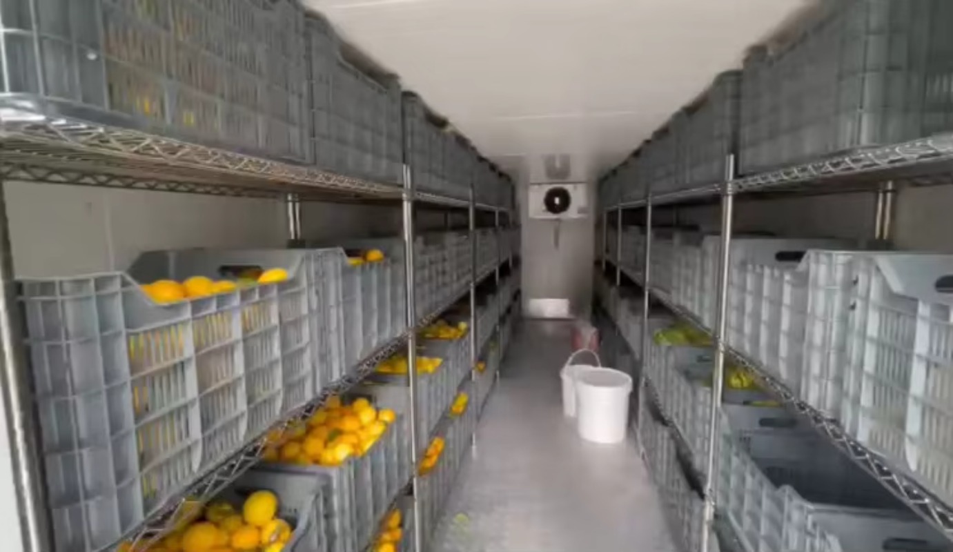 ห้องเย็นพลังงานแสงอาทิตย์สำหรั - Farming Africa บทวิจารณ์และราคา