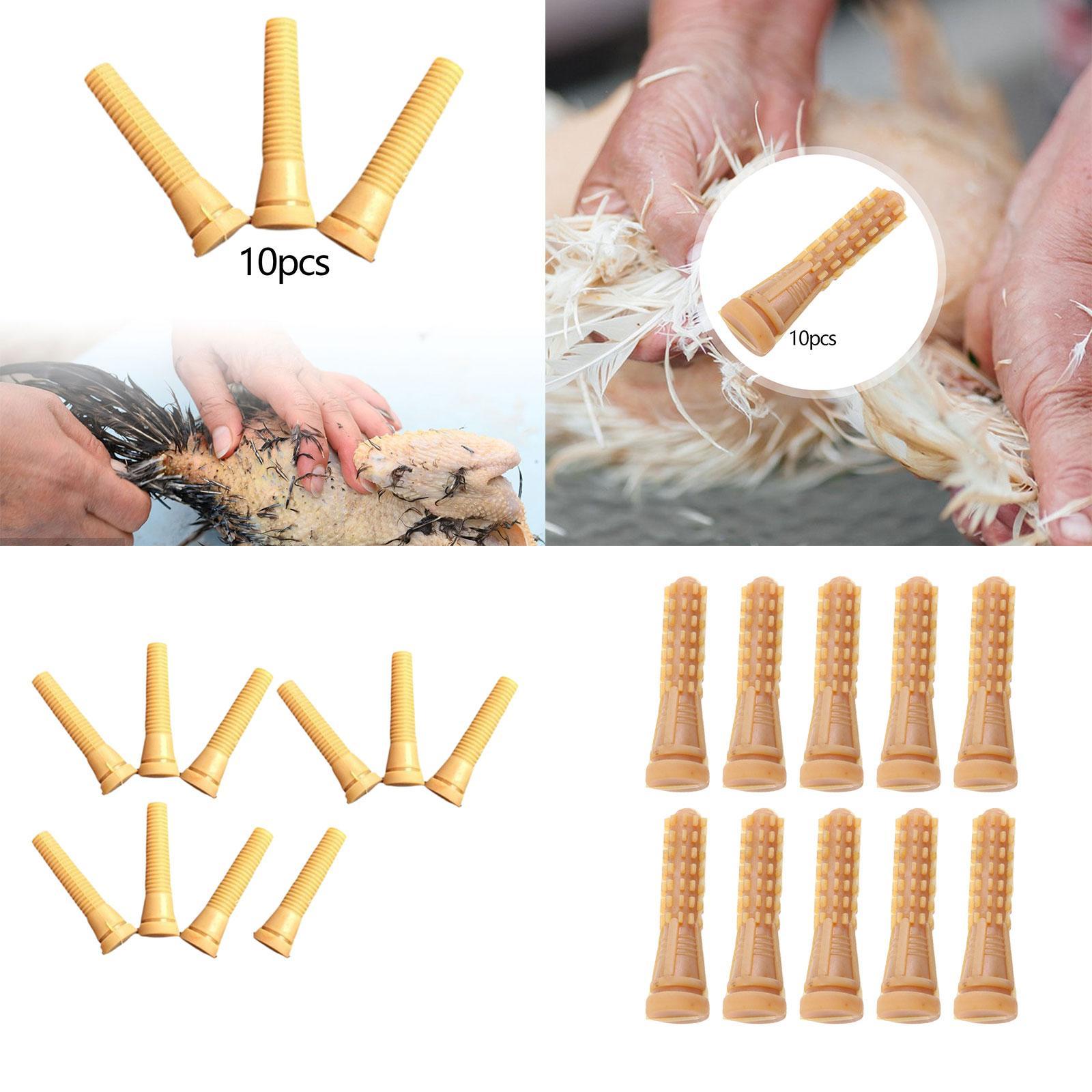 อะไหล่เครื่องถอนขนไก่ นิ้วยางส - Chicken Plucker Machine บทวิจารณ์และราคา