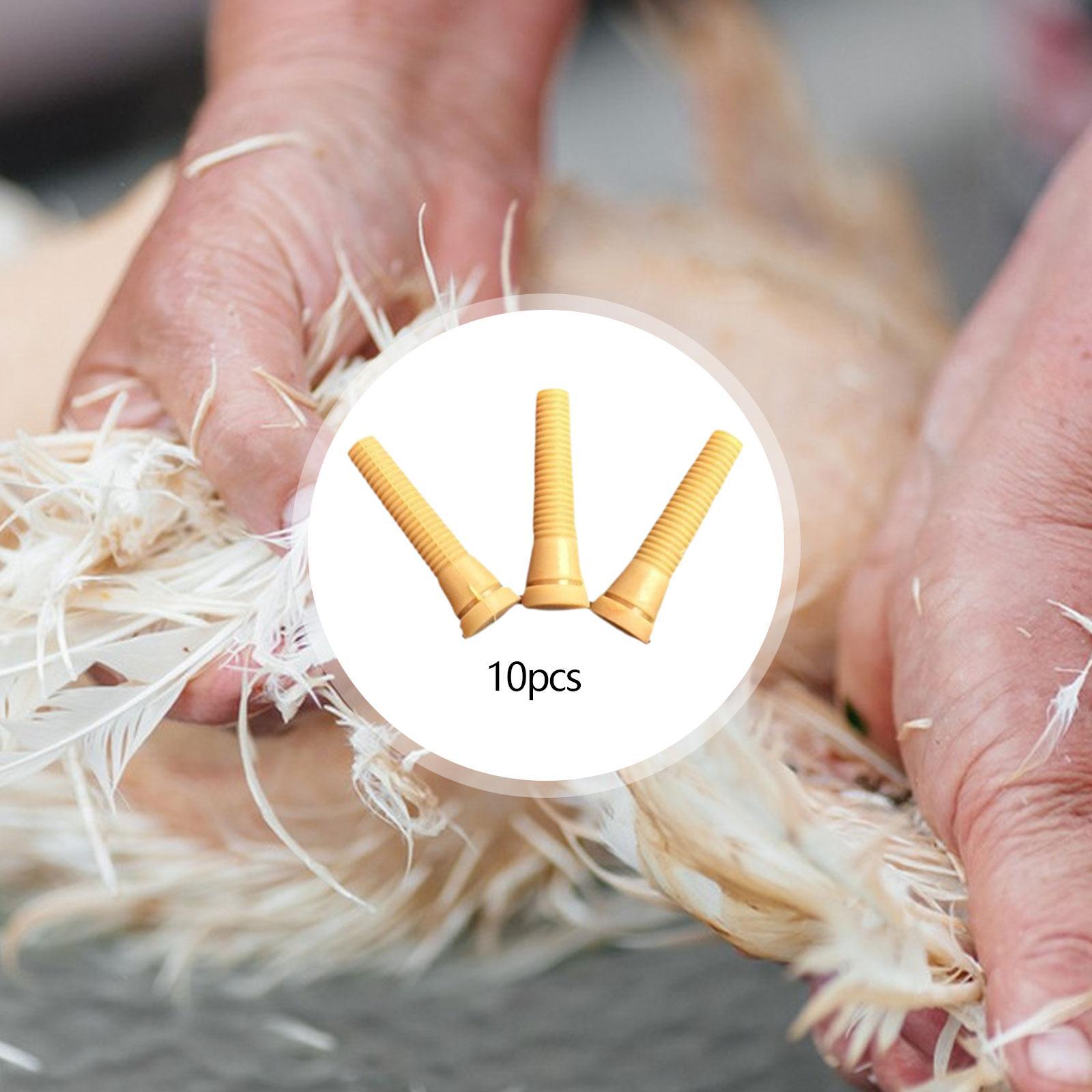 อะไหล่เครื่องถอนขนไก่ นิ้วยางส - Chicken Plucker Machine บทวิจารณ์และราคา