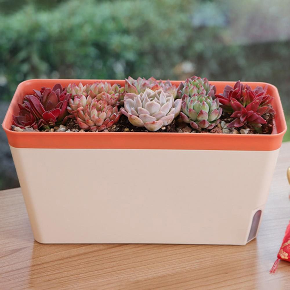 กระถางดอกไม้อเนกประสงค์สองชั้น - Vegetable Transplanter บทวิจารณ์และราคา