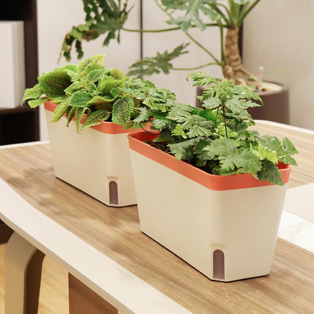 กระถางดอกไม้อเนกประสงค์สองชั้น - Vegetable Transplanter บทวิจารณ์และราคา