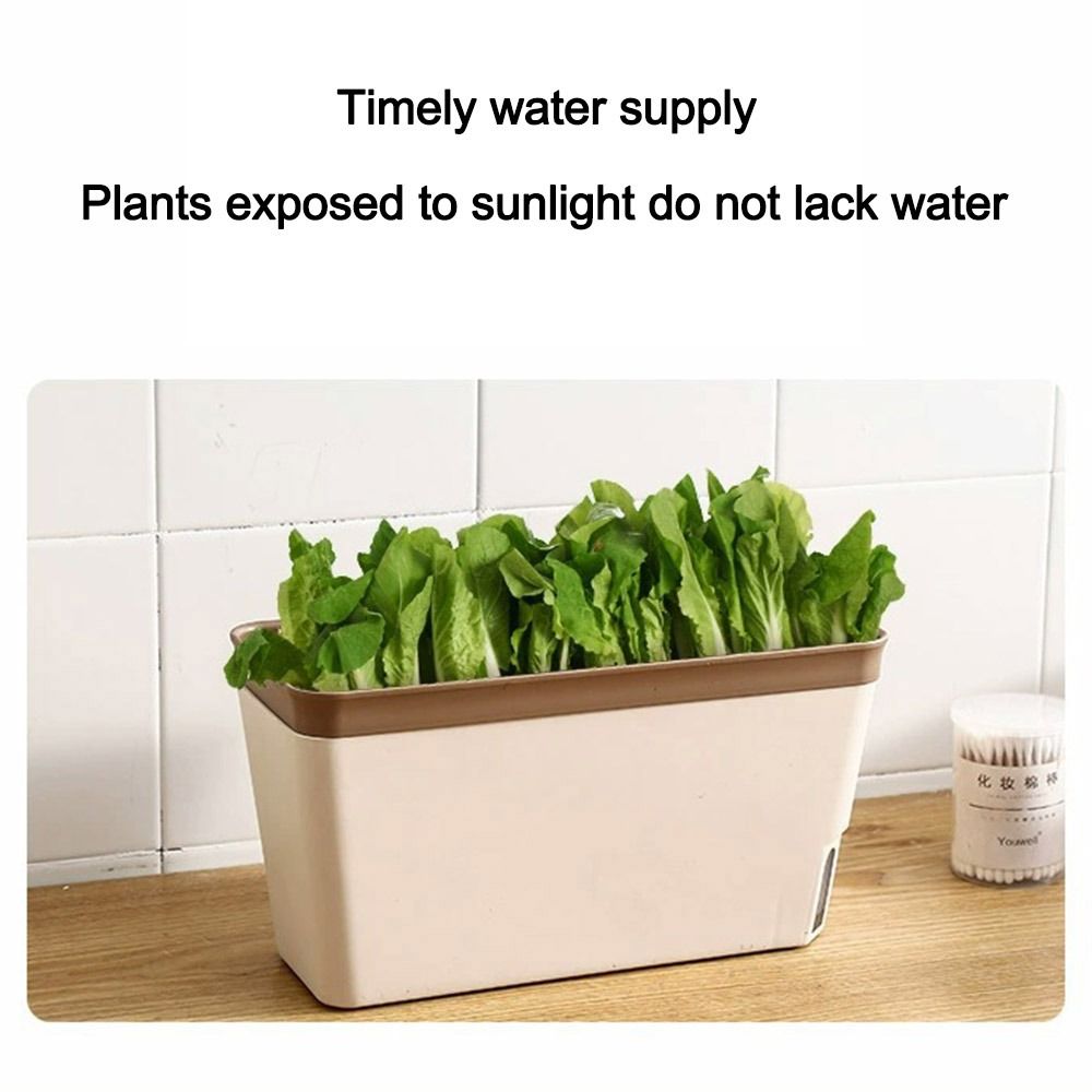 กระถางดอกไม้อเนกประสงค์สองชั้น - Vegetable Transplanter บทวิจารณ์และราคา