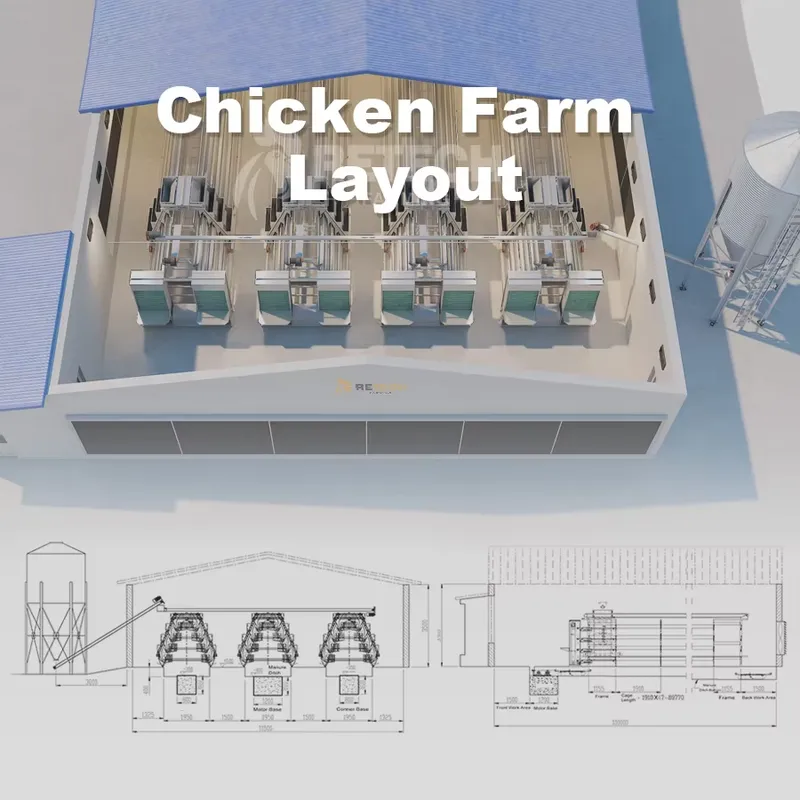 กรงไก่ไข่อัตโนมัติ โรงเรือนเลี - Farming Africa บทวิจารณ์และราคา