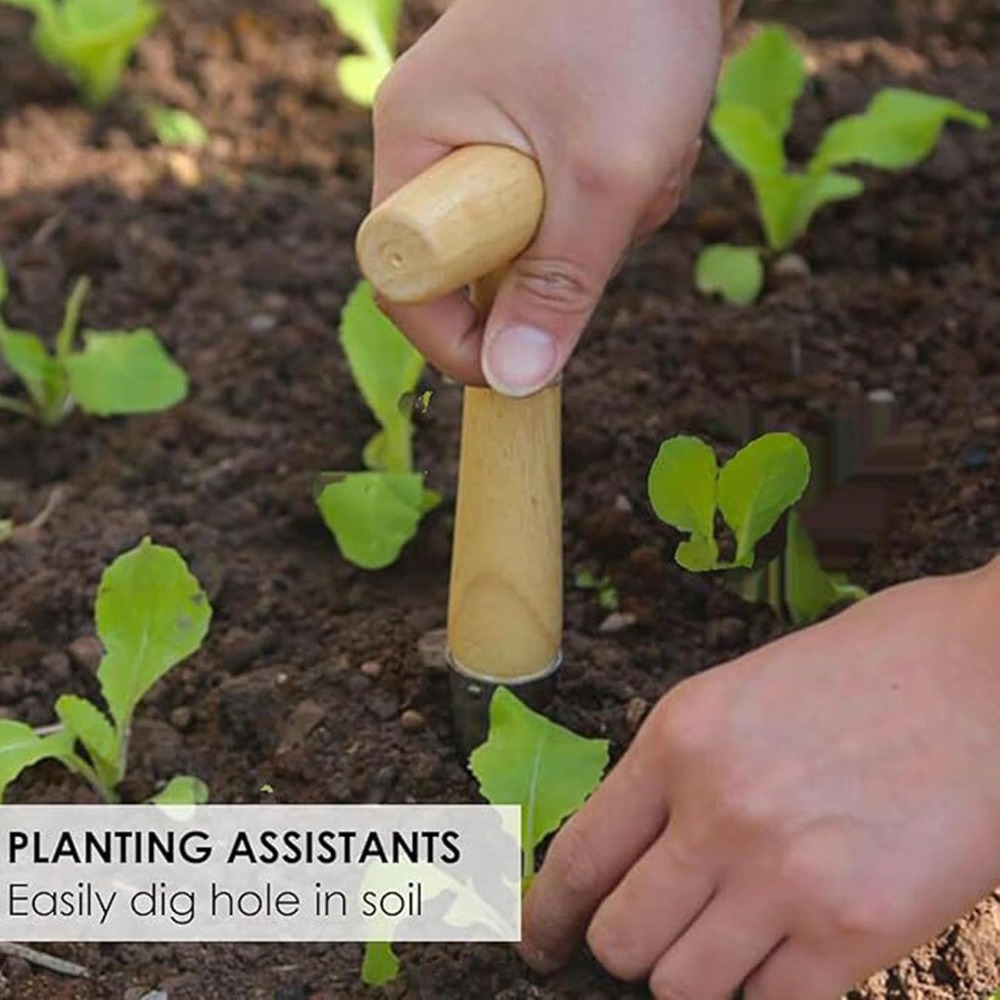 เครื่องปลูกต้นกล้าในสวนผัก ทำจ - Vegetable Transplanter บทวิจารณ์และราคา