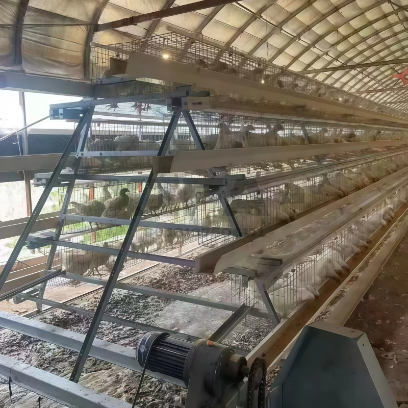 ขายเครื่องจักรในแอฟริกาใต้ โรง - Farming Africa บทวิจารณ์และราคา