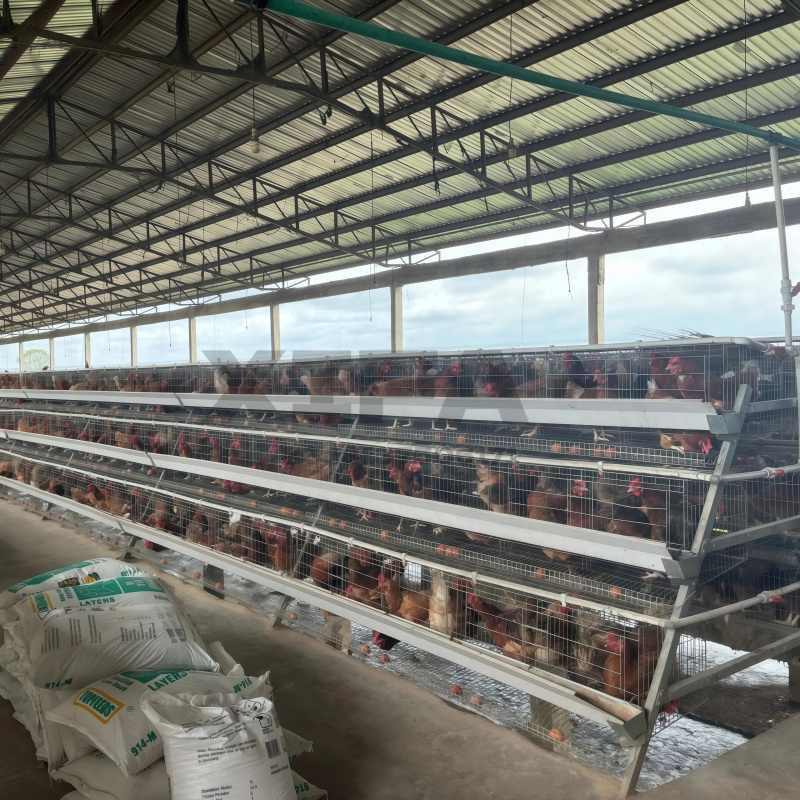 ขายเครื่องจักรในแอฟริกาใต้ โรง - Farming Africa บทวิจารณ์และราคา