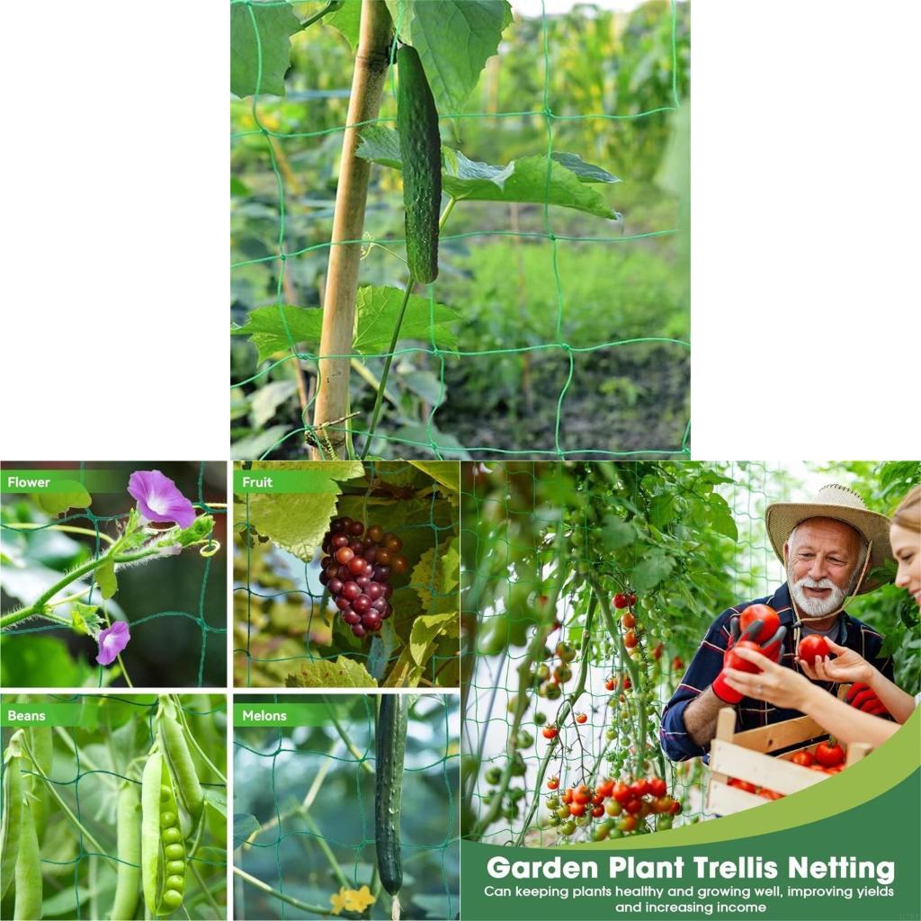 62KD พืช Trellis ตาข่ายสำหรับพ - Agriculture Farming Net บทวิจารณ์และราคา