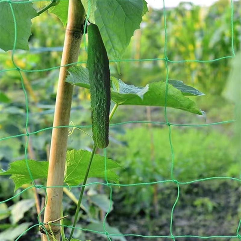 62KD พืช Trellis ตาข่ายสำหรับพ - Agriculture Farming Net บทวิจารณ์และราคา