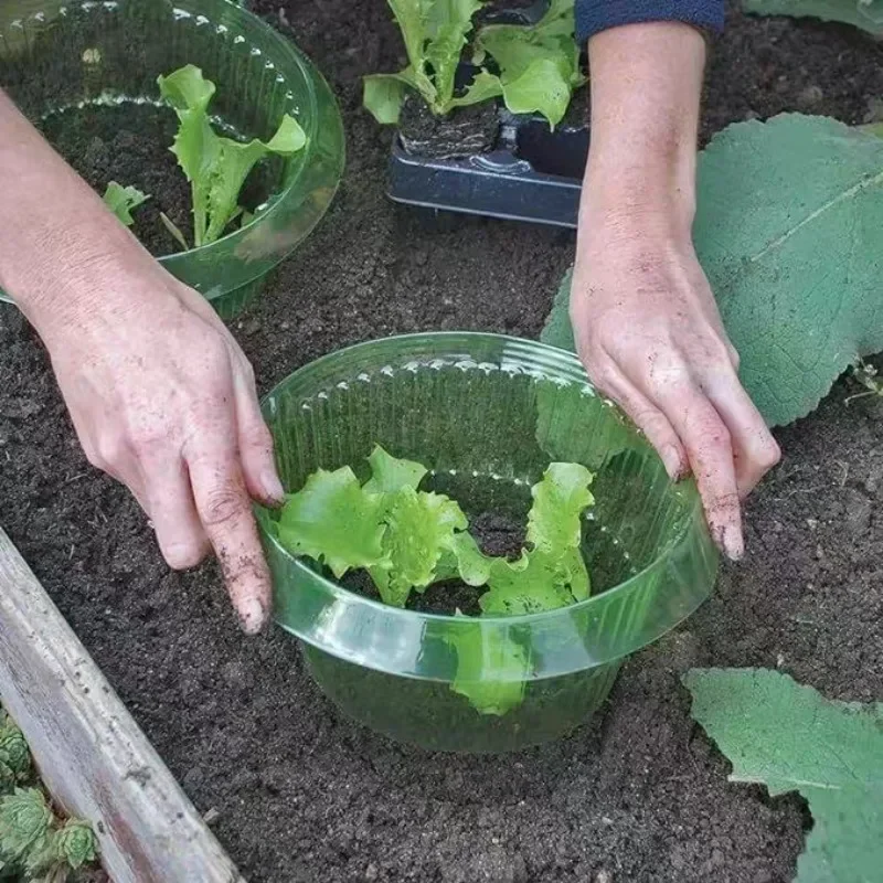 พืช Slug ป้องกันแหวนผักฝาครอบพ - Vegetable Transplanter บทวิจารณ์และราคา