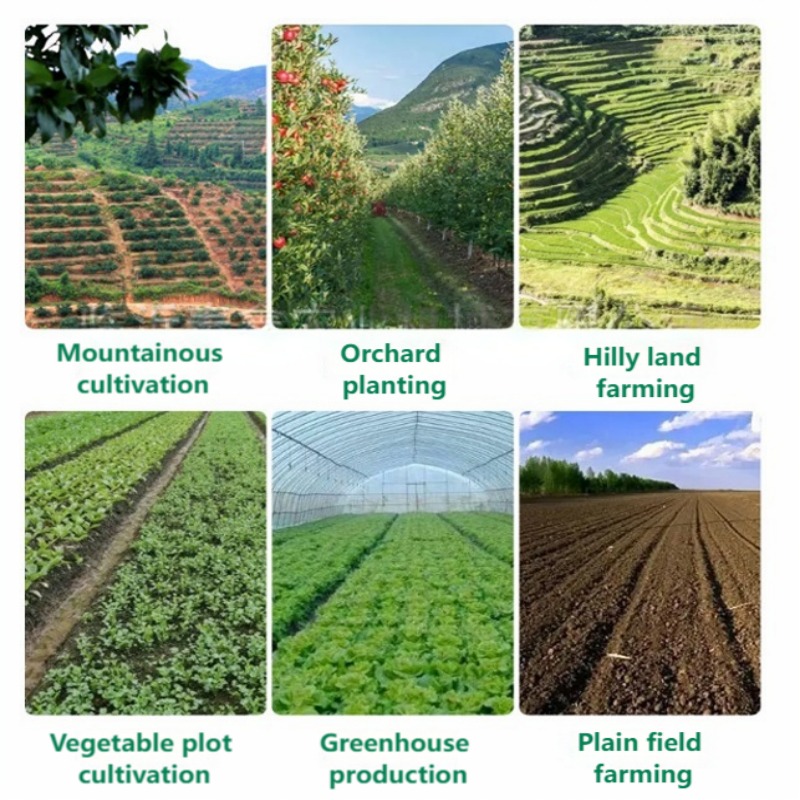 เครื่องปลูกผักแบบเข็นด้วยมือ ป - Vegetable Transplanter บทวิจารณ์และราคา