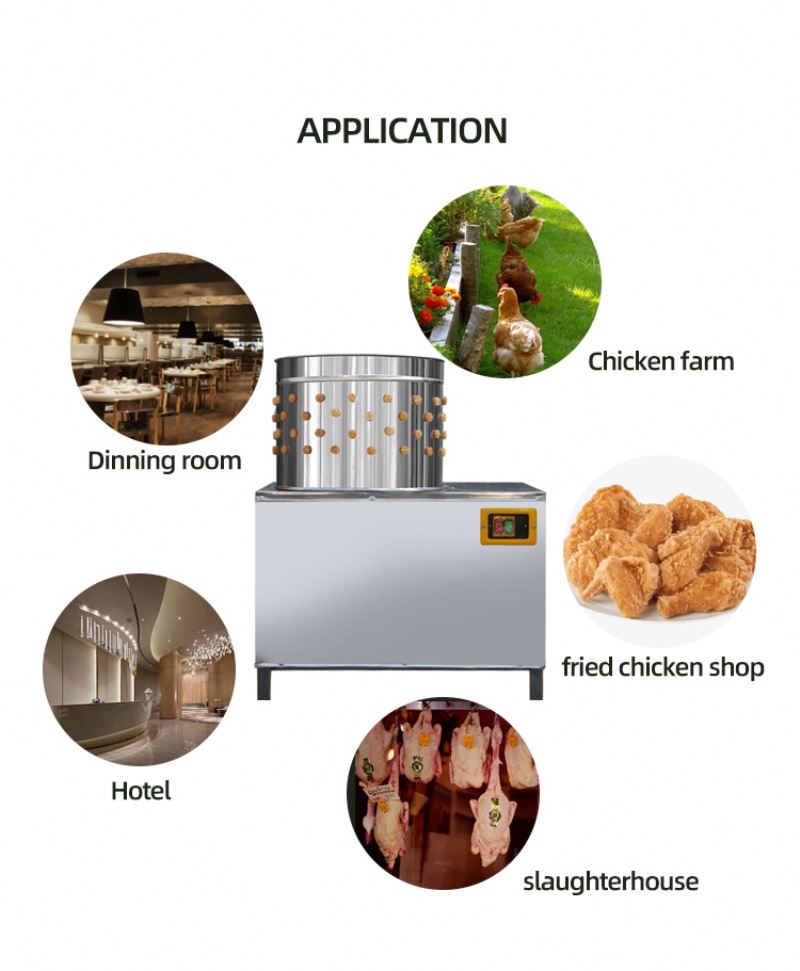 เครื่องเชือดไก่มาตรฐาน ISO พร้ - Chicken Plucker Machine บทวิจารณ์และราคา