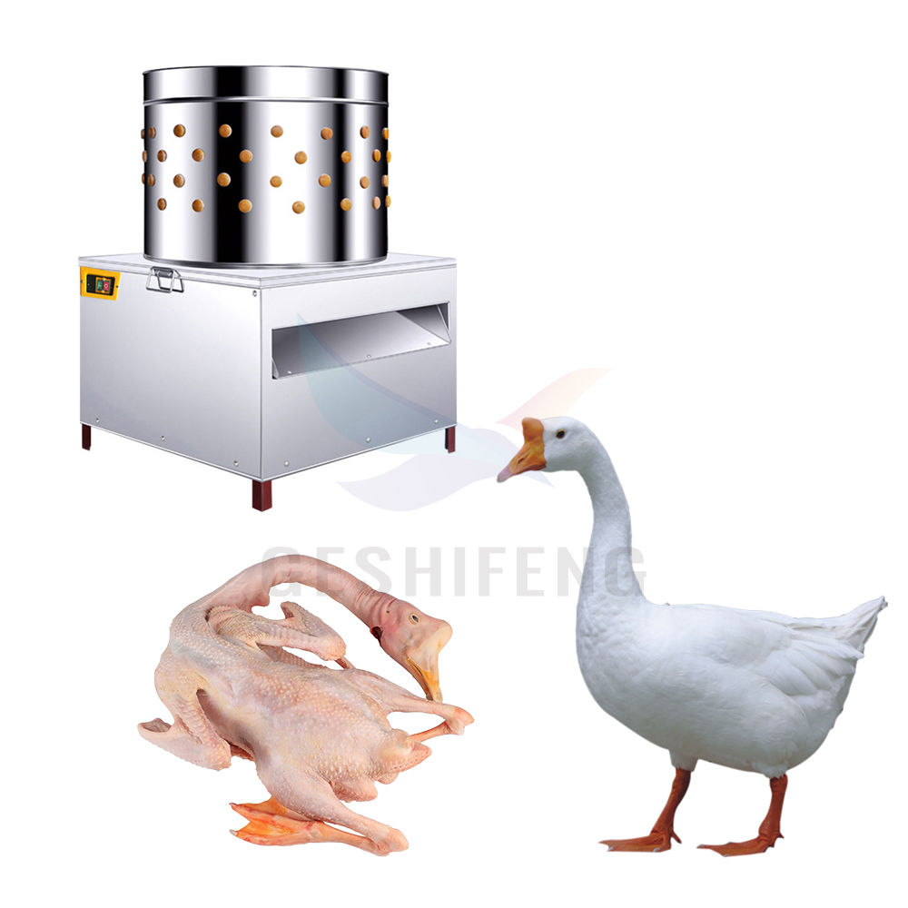 เครื่องถอนขนไก่แบบอัตโนมัติ ปร - Chicken Plucker Machine บทวิจารณ์และราคา