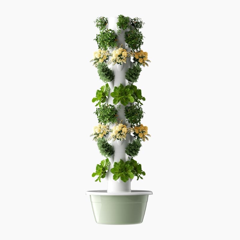 หอปลูกพืชไฮโดรโปนิกส์แนวตั้งแบ - Vegetable Transplanter บทวิจารณ์และราคา