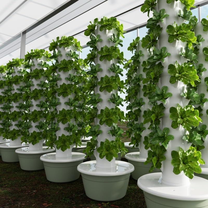หอปลูกพืชไฮโดรโปนิกส์แนวตั้งแบ - Vegetable Transplanter บทวิจารณ์และราคา